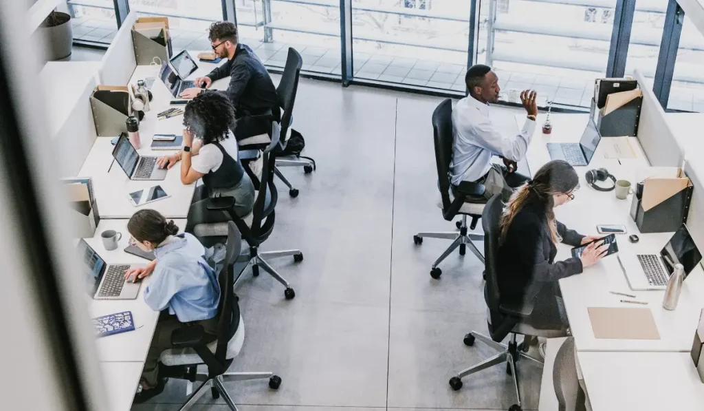 Employees in an office sitting in front of their desks